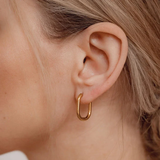 Elegant Oval Earrings