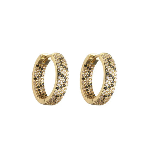 Dazzling Duo Earrings