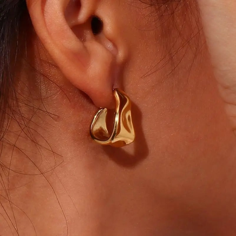 Sculpted Stunners Earrings