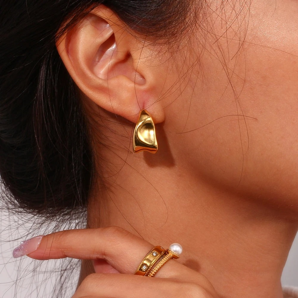 Sculpted Stunners Earrings